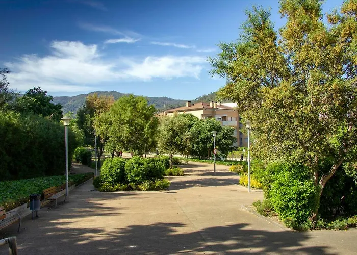 Todos Clientes Repiten! Wonderful